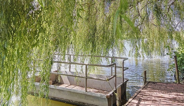 Clairmarais - Gite on an islet for a total change of scenery, at the gateway to the marshes