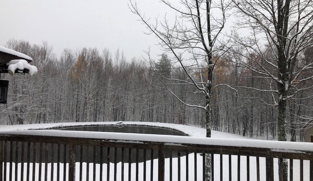 Classic 3 +bedroom house with sun deck, pond, brook on 11 acres in Catskills