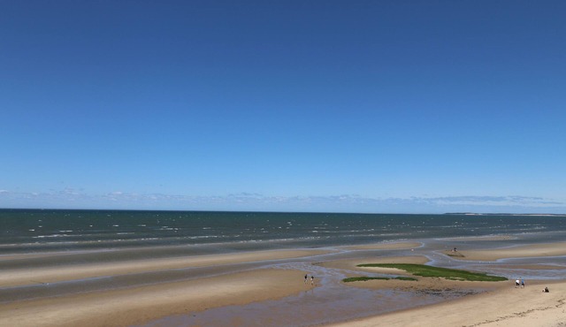 Classic Capecod cottage over the dune walk to bay beach