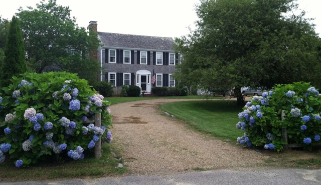 Classic Edgartown Colonial in Lovely Quiet Neighborhood