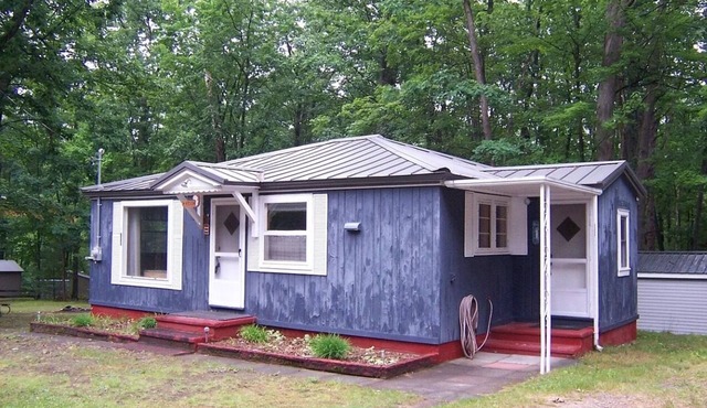 Classic Knotty Pine cabin in delightful Roscommon perfect for relaxing getaway!