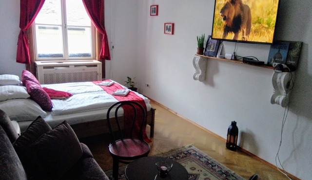 Classical Budapest apartment in the old Pest