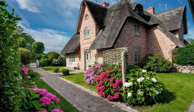 Classically great thatched house in Morsum