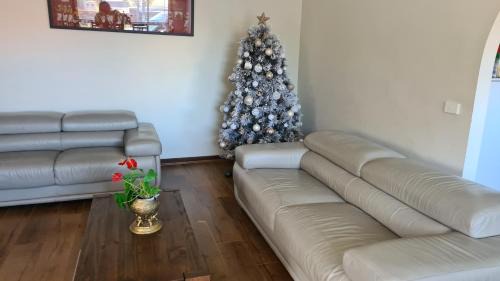 Clayton Living Town House at Monash Doorstep