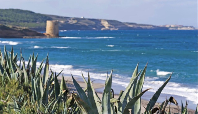 ClickSardinia Villa with sea view for 11 people with garden near the beach