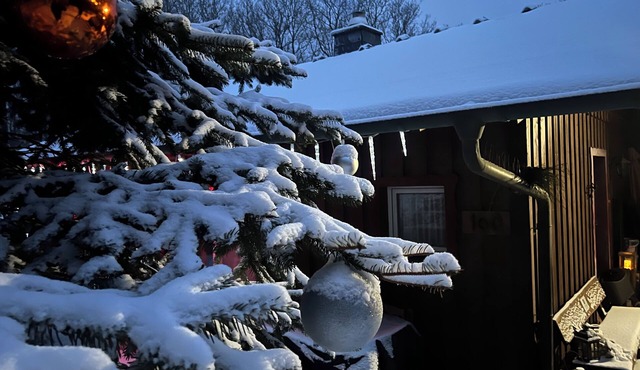 Climate-Friendly Vacation Home in the Eifel – Near the Nürburgring & the Ahr Wine Region