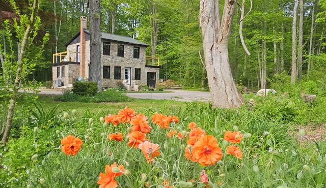 Clinton's Hidden Secret Renovated 2-bedroom Stonehouse with WiFi, AC and more