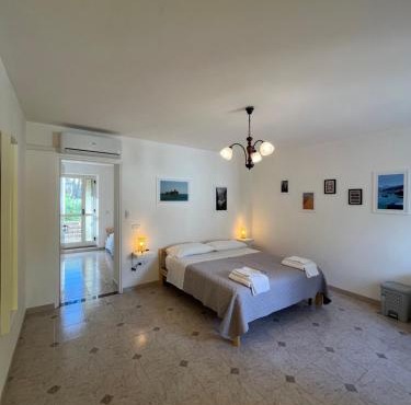 Clorofilla - Country House