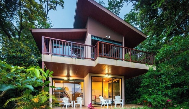 Cloud Forest Garden Apartment Welcome Wine, Trails & Local Tips