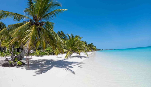 Clouds Beach Retreat Laamu