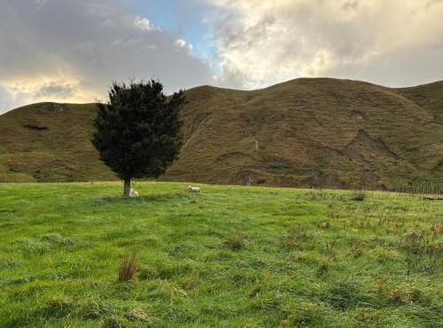 Coast Rd Rural Stay