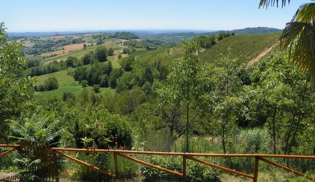 Cocconato: detached house with private garden and views