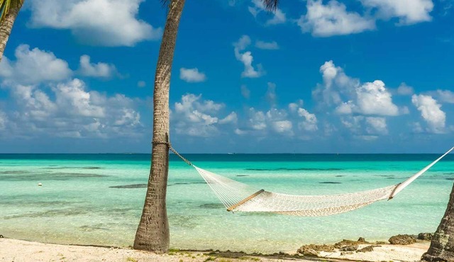 Cocoloco - Catamaran Lagoon 52F SAN BLAS