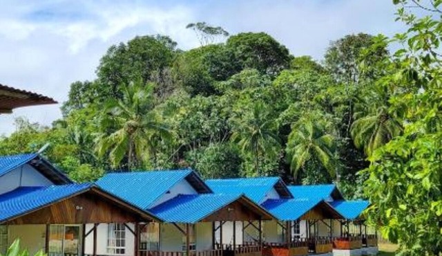 Cocoloco's Lodge - Bunk Bed in Mixed Dormitory Room