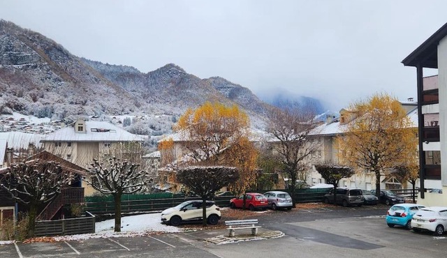 Cocon Face au MontBlanc