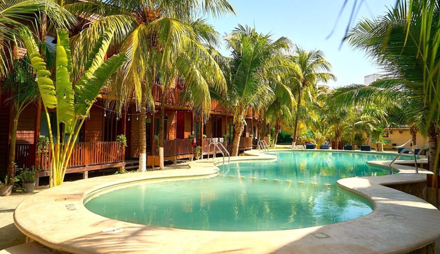 Coconut by ÓOL Hotels