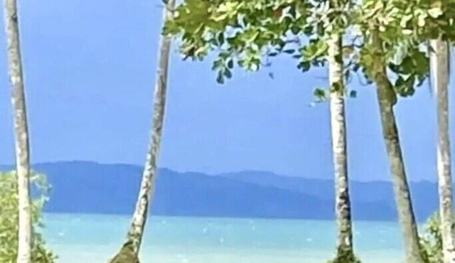 Coconut Beach House at playa Amapola Entire Cottage hosted by Kimberly -internet
