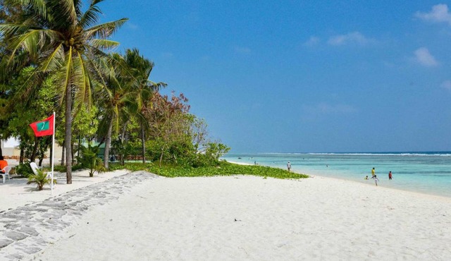 Coconut Tree Hulhuvilla Beach