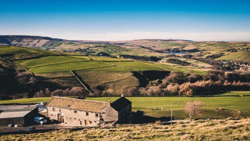 Coddy's Farm