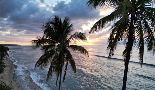 Coffee, Sun, Coconuts, Hammocks, Waves, Relaxation
