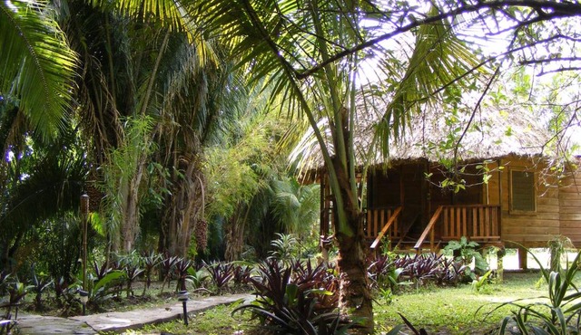 Cohune Palms River Cabanas