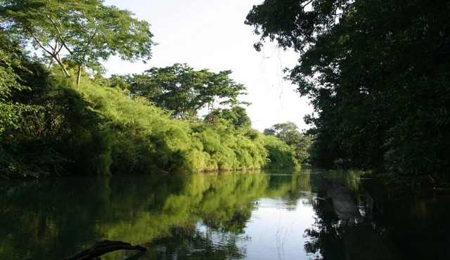Cohune Palms River Cabanas: Private river cabanas just 2.5 mi from San Ignacio