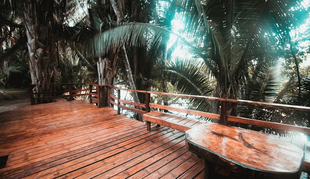 Cohune Palms River Cabanas