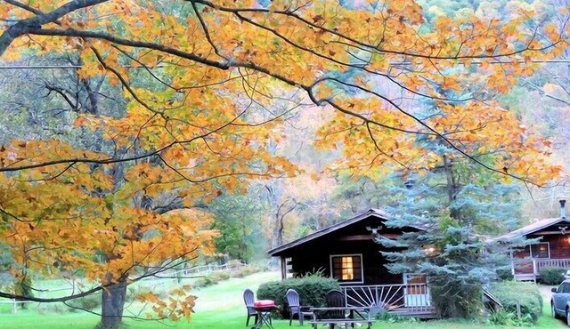 Cold Spring Lodge - Cabin 5