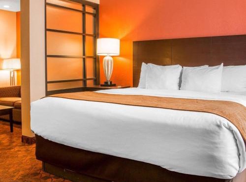 Comfort Inn & Suites and Conference Center