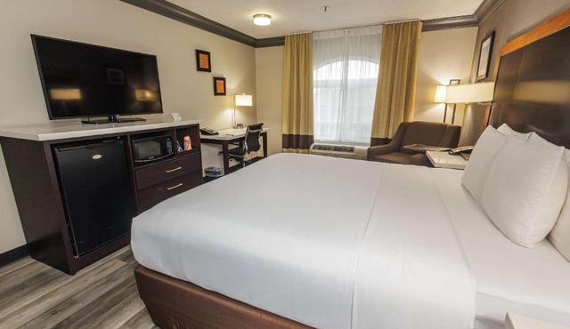 Comfort Inn & Suites Near Universal - N Hollywood - Burbank