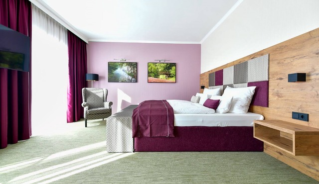 Comfort Plus Double Room - Best Western Plus Parkhotel & Spa Cottbus *S