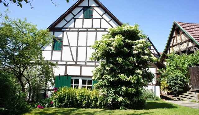 Comfortable apartment (loft) furnished with garden - CO2 neutral - WiFi included