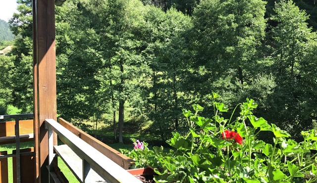 Comfortable apartment in Baiersbronn with balcony
