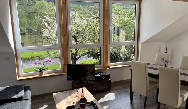 Comfortable apartment, plus a balcony with stunning river view
