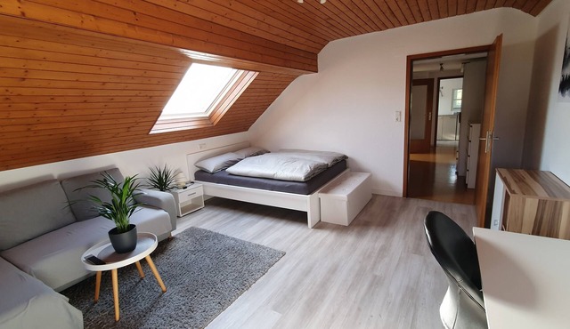 Comfortable 1-room apartment (Trade fair/Test tower/Near conference hotel/Neckar)