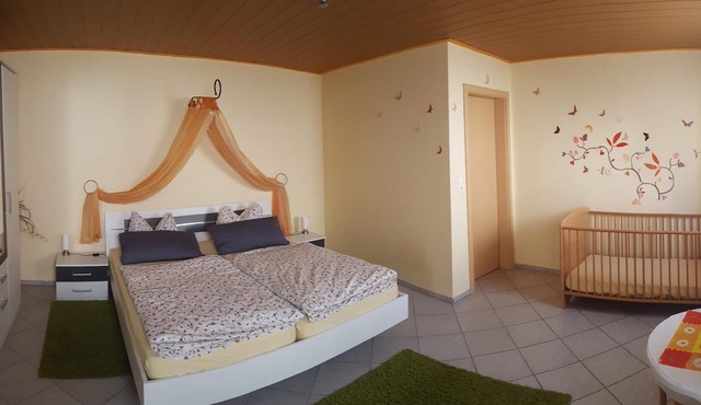 Comfortable 3 star apartment in the heart of the Palatinate