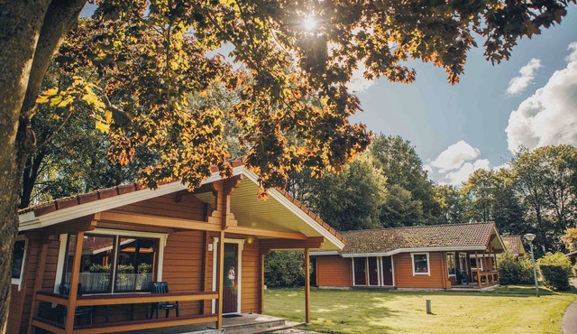 Comfortable 4-person Finnish chalet with dishwasher, washing machine and veranda in the Vechtdal.