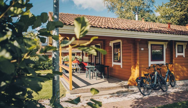 Comfortable 4-person chalet with sauna and veranda in the Vechtdal. Active enjoyment and relaxation.