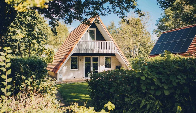 Comfortable 6-person bungalow in the Vechtdal with dishwasher, combination microwave and washing machine.