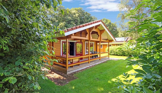 Comfortable 6-person Finnish chalet with dishwasher, washing machine and veranda in the Vechtdal. Ideal for families.