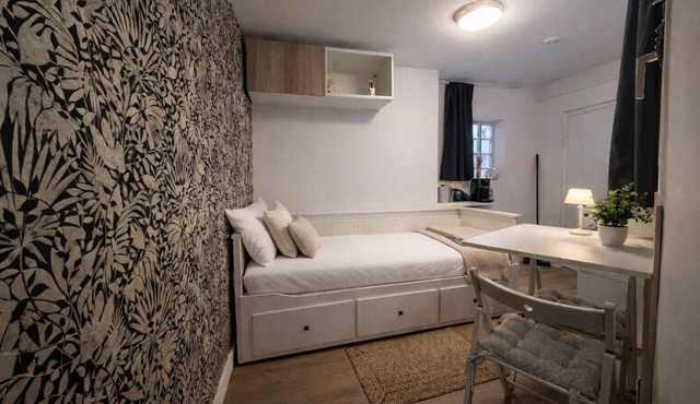 Comfortable and cozy studio – 2 people – La Doutre district, Angers