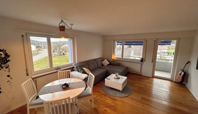 Comfortable apartment on the German border