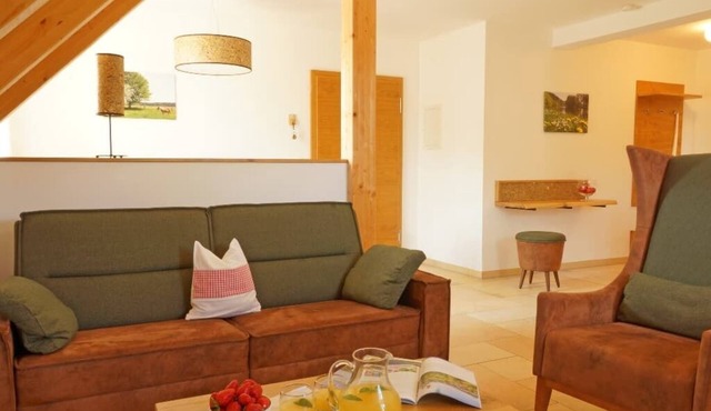 Comfortable apartment on a farm