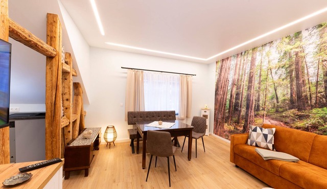 Comfortable apartment in a central location. Bus and train nearby!