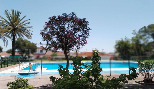 Comfortable apartment. Close to everything. Infinite beach. Bring only clothes