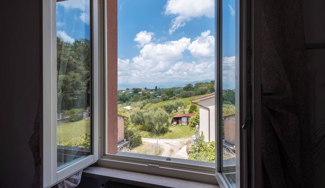 Comfortable apartment in a tuscan wine farm