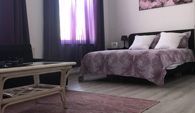 Comfortable apartment Toison d’or