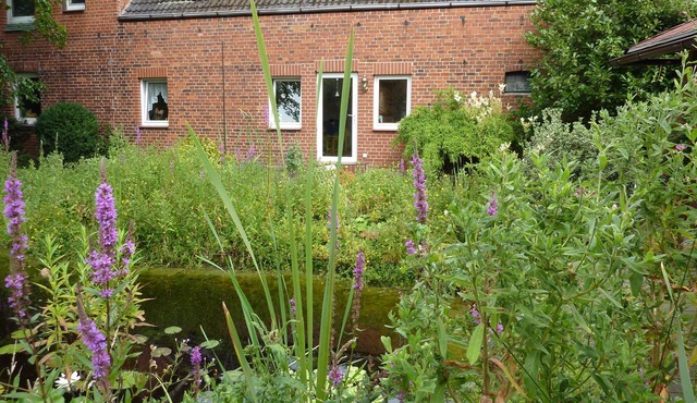 Comfortable apartment with dream garden