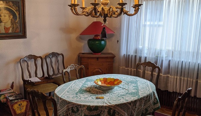 Comfortable apartment, 2 rooms-kitchen-bathroom and balcony (110m²), city center