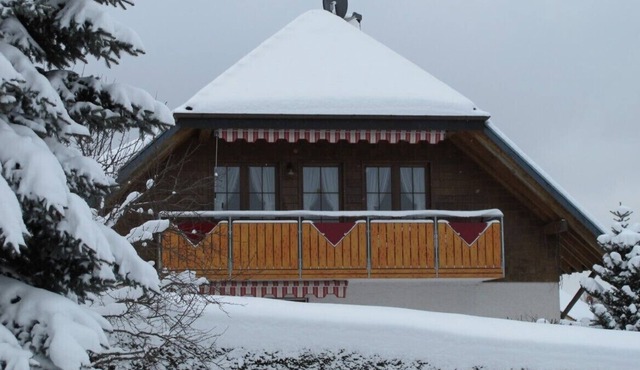 comfortable apartment Titisee-Schluchsee, Internet, dogs are welcome